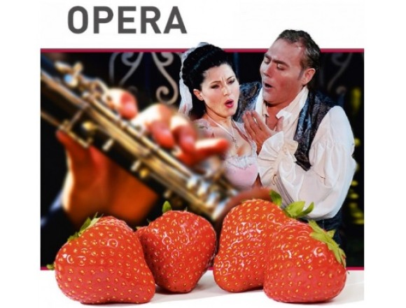 Купить Клубника Опера