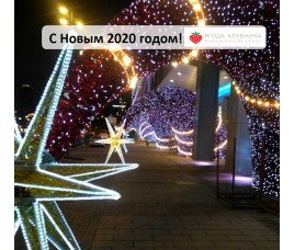 Подготовка к сезону 2020 года
