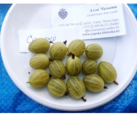 Анализ сортов из Англии по вкусу