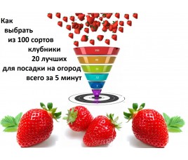 Как быстро выбрать сорт клубники